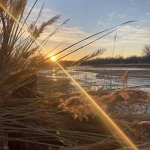 Meet your Posher, Dylan